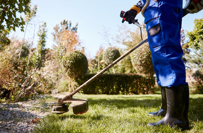 Rasen- und Gartenpflege Rasen-und-Gartenpflege