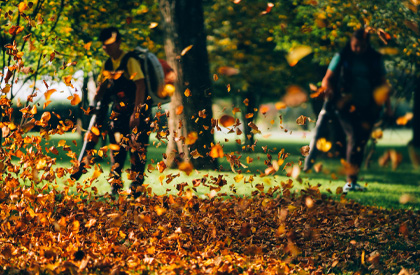 Frühjahrs- und Herbstputz Frühjahrs- und Herbstputz