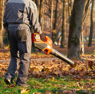 Gartenreinigung